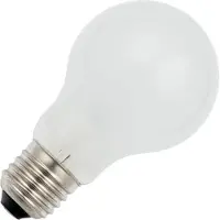 Schiefer E27 Gloeilamp | 40W 2700K 450lm 48V Mat | Dimbaar