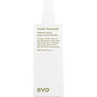 Evo mister fantastic blowout spray Föhnspray 200 ml