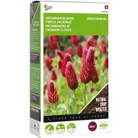 Buzzy - Zaden groenbemester incarnaatklaver 200g