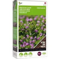 Buzzy Seeds Groenbemester Perzische Klaver (Trifolium Resupinatum) 200 G