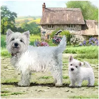 Craft Buddy crystal art kaart west highland terriërs 18x18 cm