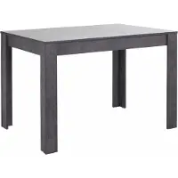 Loft 24 Lynn|Eettafel 120x80 cm 6 plaatsen in Leisteen MDF