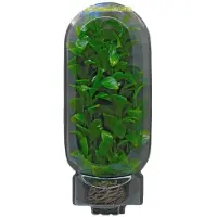 Superfish Aquarium Kunstplant NR2 Groen 20 Cm