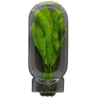 Superfish Aquarium Kunstplant Easy Plants Middel NR12 Groen 20 Cm