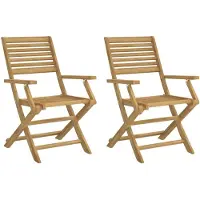 vidaXL Tuinstoelen 2 st inklapbaar 54,5x61,5x86,5 cm acaciahout
