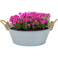 Merkloos Teil/plantenpot/bloempot Old Rope - zink - zilver - D40 X H14 cm