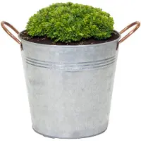 Merkloos Mega Collections Emmer/plantenpot Jean - zink - zilver - D30 X H28 cm - IJzeren emmer / teil
