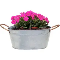Merkloos Mega Collections Teil/plantenpot Jean - ovaal - zink - zilver - L24 x D15 X H11 cm - IJzeren emmer / teil