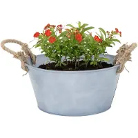Merkloos Teil/plantenpot/bloempot Old Rope - zink - zilver - D30 X H14 cm