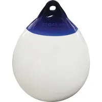 Ocean Classic R6 Fender Wit,Blauw