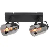Freelight Fumoso plafondspot, lengte 37 cm, zwart/grijs, 2-lamps. Fumoso, dimbaar, zwart, Woon-/ Eetkamer, metaal, Modern, buitenspot