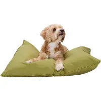 Maxxpro Hondenmand - Hondenkussen 60 x 80 cm - Hondenbed - Kussen Hond met Rits - Polyester en Microvezel - Groen