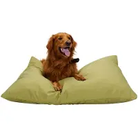 Maxxpro Hondenmand - Hondenkussen 70 x 100 cm - Hondenbed - Kussen Hond met Rits - Polyester en Microvezel - Groen