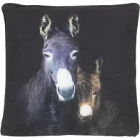 2lif Mars & More Ezels outdoor buitenkussen 50x50cm