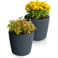 Prosperplast Plantenpot/bloempot Buckingham - 2x - buiten/binnen - antraciet - D17 x H15 cm