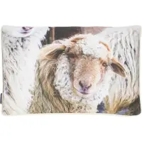 2lif Mars & More Schapen buitenkussen beige 40x60cm