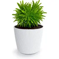 Prosperplast Plantenpot/bloempot Buckingham - buiten/binnen - design kunststof - ivoor wit - D17 x H15 cm