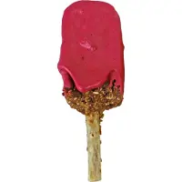 Blue Tree Krokante snack met fruittopping - kauwsnack - rode bessen - 33 gram - per 2 stuks