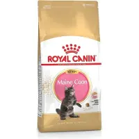 Royal Canin Maine Coon Kitten - 10 kg - Kitten-Kattenvoer