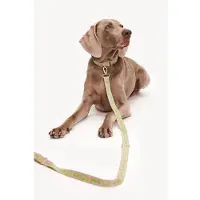 DOGGUO & Loavies Hondenriem DL-LEASH-GREEN-M