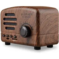 FT Retro Bluetooth speaker / fm radio Bruin