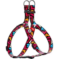 Waudog Graffiti Harnas / Hondentuigje - Nylon - Gratis QR-tag - Breedte: 15 mm - Borstomtrek: 40 - 55 cm (GELIEVE ALVORENS BESTELLEN OPMETEN)