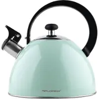 Florina Brillo fluitketel 2,5L voor alle warmtebronnen - Waterketel - Mint groen