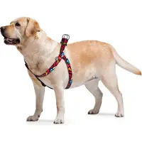 Waudog Graffiti Harnas / Hondentuigje - Nylon - Gratis QR-tag - Breedte: 20 mm - Borstomtrek: 50 - 80 cm (GELIEVE ALVORENS BESTELLEN OPMETEN)