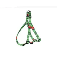Waudog Ethno Green Harnas / Hondentuigje - Nylon - Breedte: 20 mm - Borstomtrek: 50 - 80 cm (GELIEVE ALVORENS BESTELLEN OPMETEN)
