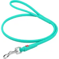 Waudog Glamour Hondenriem / Hondenlijn - Rond Leder - Mint - Diameter: 6 mm - Lengte: 122 cm