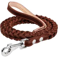 Waudog Classic Hondenriem - Gevlochten (vierkant) - Leder - Bruin - Breedte: 20 mm - Lengte: 122 cm