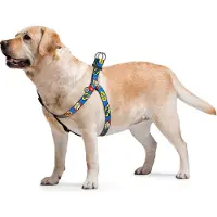 Waudog Wow Harnas / Hondentuigje - Nylon - Gratis QR-tag - Breedte: 25 mm - Borstomtrek: 60 - 90 cm (GELIEVE ALVORENS BESTELLEN OPMETEN)