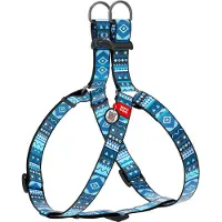 Waudog Ethno Harnas / Hondentuigje - Nylon - Blauw - Gratis QR Tag - Breedte: 15 mm - Borstomtrek: 40 - 55 cm (GELIEVE ALVORENS BESTELLEN OPMETEN)