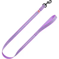Waudog Glow In The Dark Hondenlijn / Hondenriem - Nylon - Paars - Reflecterend - Breedte: 2,5 cm - Lengte: 122 cm - Geschikt voor grote honden