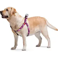 Waudog Pink Camo Harnas / Hondentuigje - Nylon - Gratis QR-tag - Breedte: 20 mm - Borstomtrek: 50 - 80 cm (GELIEVE ALVORENS BESTELLEN OPMETEN)