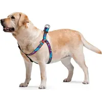 Waudog Summer Harnas / Hondentuigje - Nylon - Gratis QR-tag - Breedte: 20 mm - Borstomtrek: 50 - 80 cm (GELIEVE ALVORENS BESTELLEN OPMETEN)