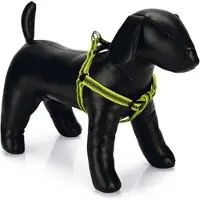 Beeztees BZ NYL GORDEL CABO GEEL 60-1 (100, Hond, Algemeen)