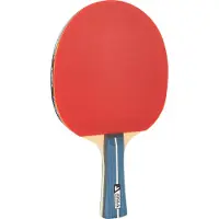 Joola Team Premium Table Tennis Racket Rood UNICA