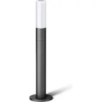 Steinel 069469 LED AUSSENLEUCHTE GL 65 Staande LED-buitenlamp LED LED vast ingebouwd 8.5 W Antraciet