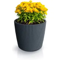 Prosperplast Plantenpot/bloempot Buckingham - kunststof - antraciet - 23 x 21 cm - Plantenpotten