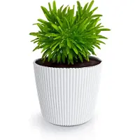 Prosperplast Plantenpot/bloempot Buckingham - kunststof - ivoor wit - 19 x 17 cm - Plantenpotten