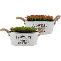 DK Design plantenpot/bloempot schaal Jardin- 2x - zink - wit - D25 x H11 cm - Plantenpotten
