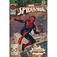Merkloos Poster Marvel Spider-Man Comic Front 61x91,5cm