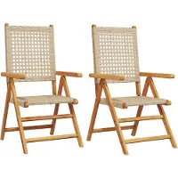 vidaXL Tuinstoelen 2 st massief acaciahout en poly rattan beige
