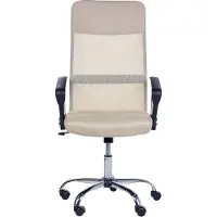 Beliani DESIGN - Bureaustoel-Zwart-Mesh