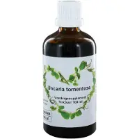 Therapeutenwinkel Uncaria tomentosa