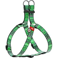 Waudog Ethno Harnas / Hondentuigje - Nylon - Groen - Gratis QR Tag - Breedte: 15 mm - Borstomtrek: 40 - 55 cm (GELIEVE ALVORENS BESTELLEN OPMETEN)