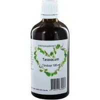 Therapeutenwinkel Taraxacum officinalis
