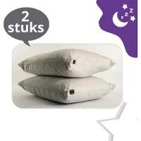 Beau Maison Velvet Kussenslopen Zilver - 60 x 70 cm - Set van 2