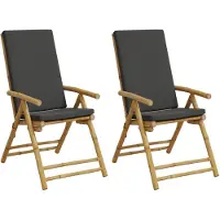 vidaXL Tuinstoelen 2 st inklapbaar met kussens bamboe